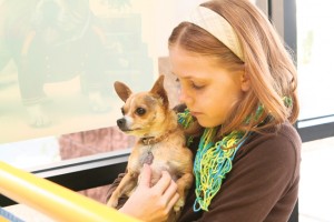 Ahwatukee Dog Show this weekend 