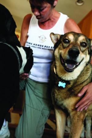 afn.052610.com.petrescue6.jpg