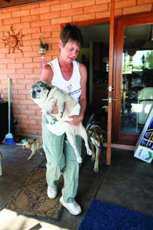 afn.052610.com.petrescue8.jpg