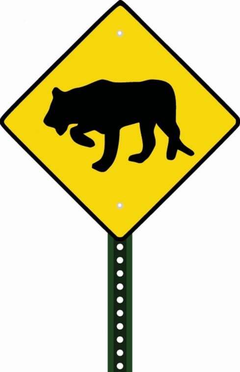 Beware of mountain lions