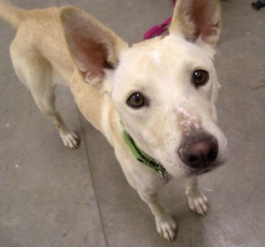 Someone to love: Rue
