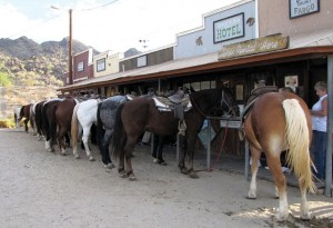 Ponderosa Stables is gem of South Mountain Park 