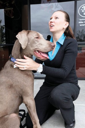 afn.122210.com.dogHygiene3.jpg