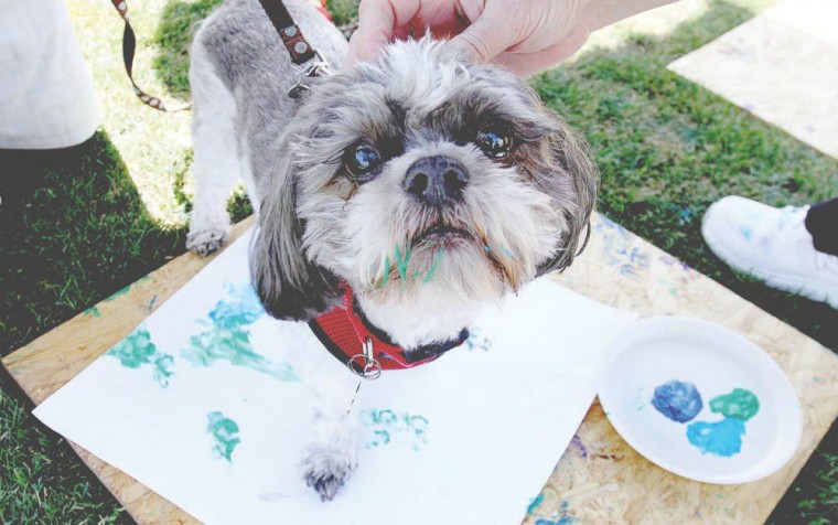 Ahwatukee Dog Show