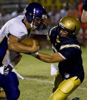 DV defense