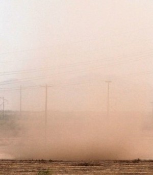 Valley fever