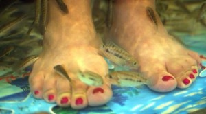 Lawsuit filed over feet-nibbling fish 