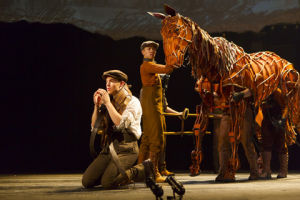 War Horse 