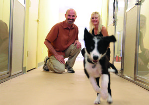 Wiggles and Wags