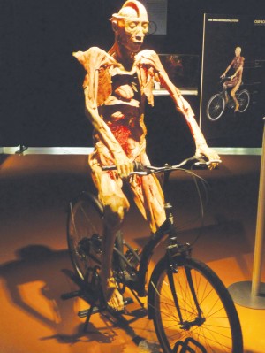 Our Body