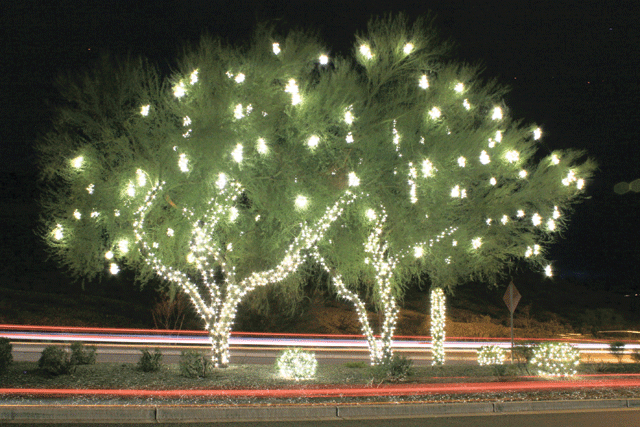 Festival of Lights faces red ink 