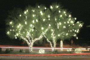 Festival of Lights faces red ink 