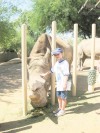 Camp Zoo: The ultimate animal experience