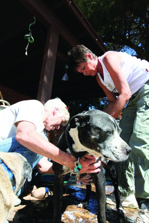 afn.052610.com.petrescue15.jpg