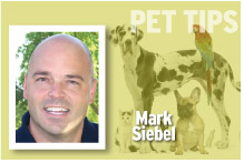 Pet Tips Mark Siebel