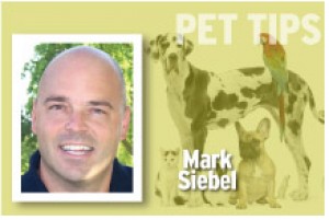 Pet Tips Mark Siebel