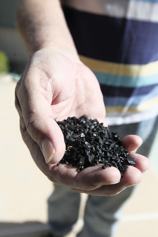 afn.112410.news.litter3.jpg
