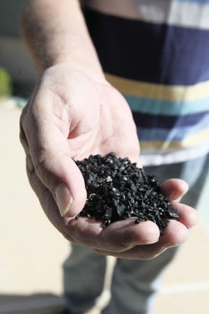 afn.112410.news.litter3.jpg
