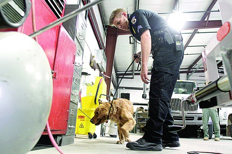 Drug dog