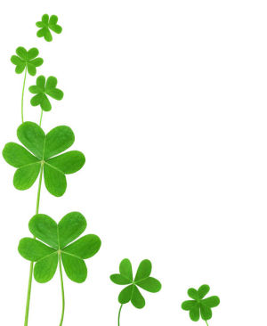 clover