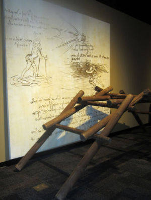 DaVinci The Genius
