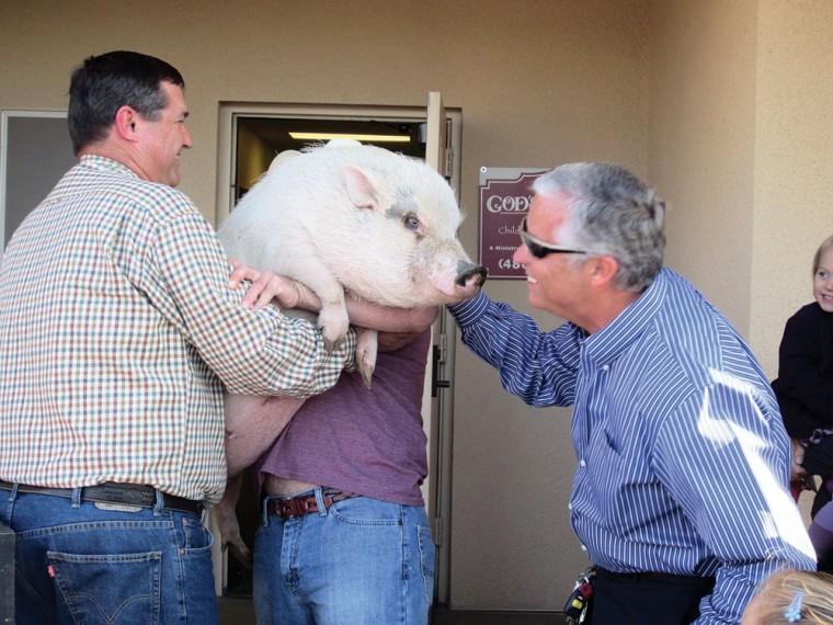 Ron Hawkins kisses a pig