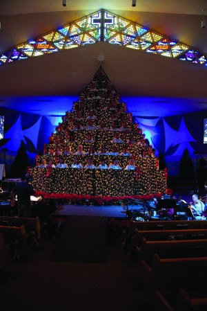 Living Tree