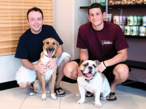 Q&A with Foothills Pet Resort 