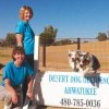 Best pet training: Desert Dog Obedience Ahwatukee