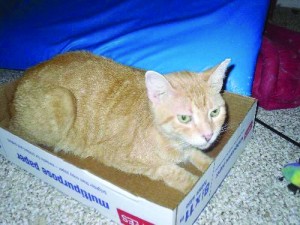 Someone to love: Oscar