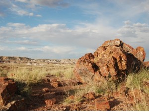 Petrified Forest National Park