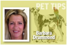 Pet Tips Barbara Drummond