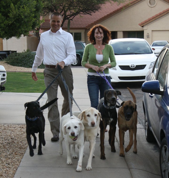 Fore the Dogs