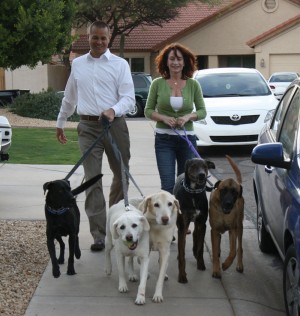 Fore the Dogs