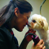 Best pet grooming: Fluffy Tails Pet Salon