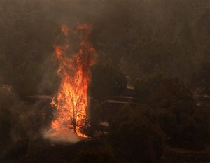 Arizona Wildfires
