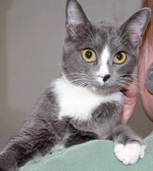 Someone to love: Abby
