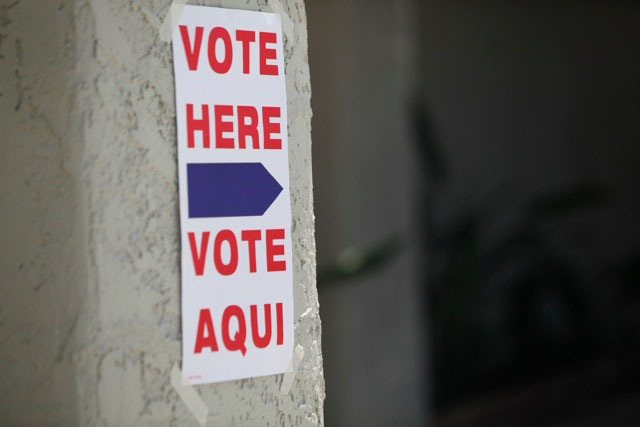 Primary Election 2010