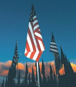 Healing Field