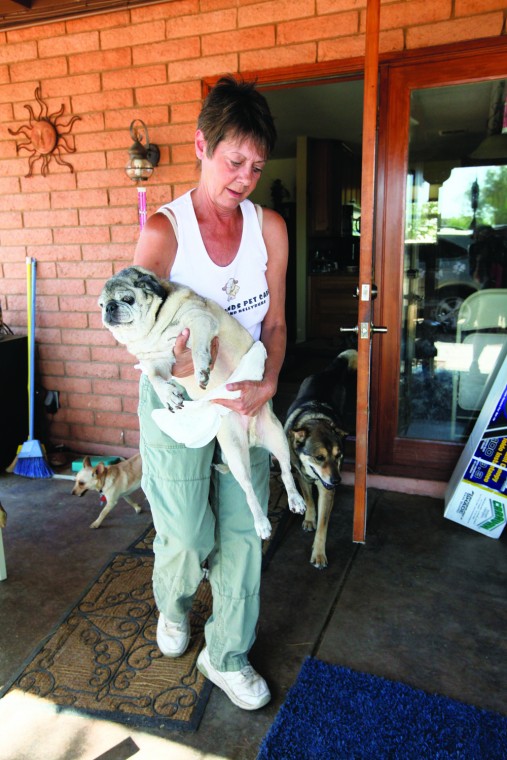 afn.052610.com.petrescue8.jpg