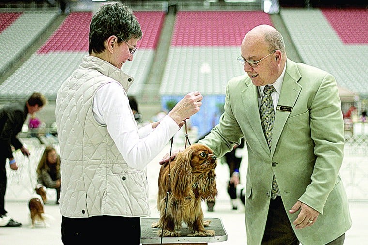 Dog show