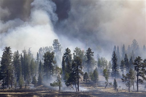 Arizona Wildfires