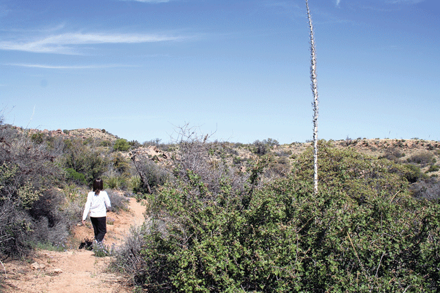 YMCA partners with local retreat to help women live healthier lives 