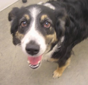 Someone to love: Lakelyn