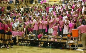 pink 6.jpg