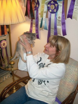 Cats have shows, too: 17th annual event coming to Phoenix next month 