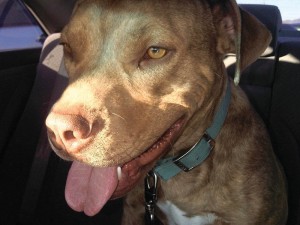 Someone to love: Jeter