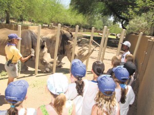Camp Zoo