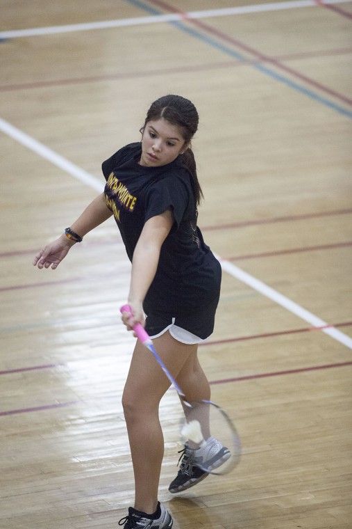 Badminton State Championships