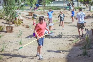 DV Garden